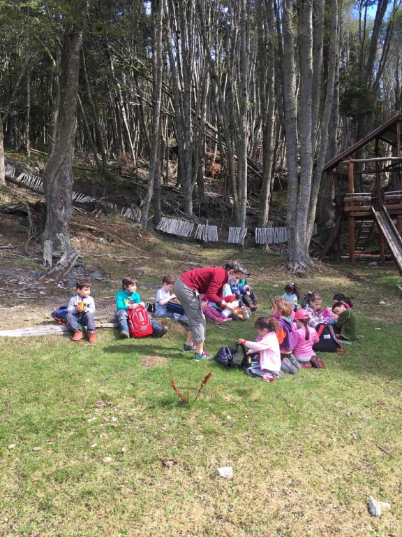 ACTIVIDADES CAU 2020